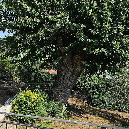 Il Granaio Apartamento Barberino di Mugello
